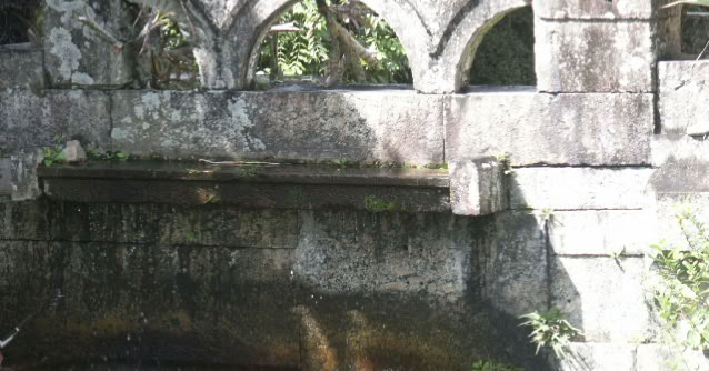 SÍtio Burle Marx, Guaratiba, Rio de Janeiro 2004. Global Studies: Culture Nature.  Photo A.A.Bispo©