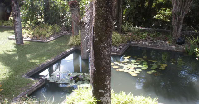 SÍtio Burle Marx, Guaratiba, Rio de Janeiro 2004. Global Studies: Culture Nature.  Photo A.A.Bispo©